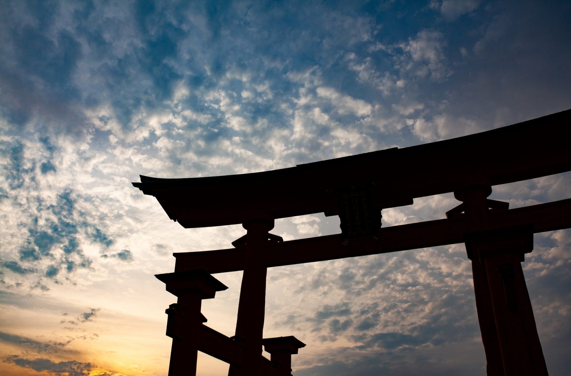 一日葬198,000税込